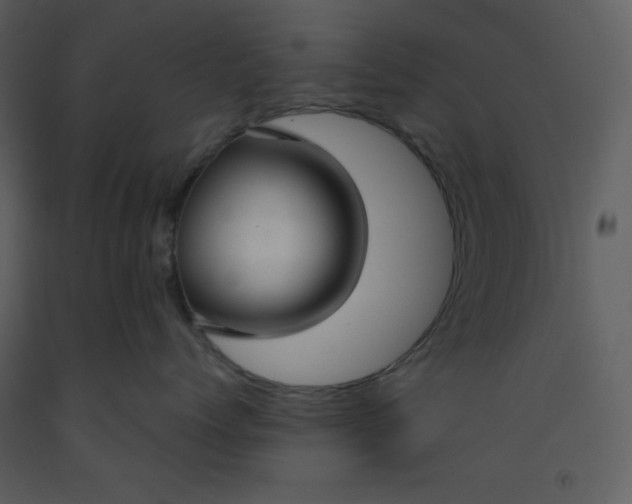 X0000093250768200710171425