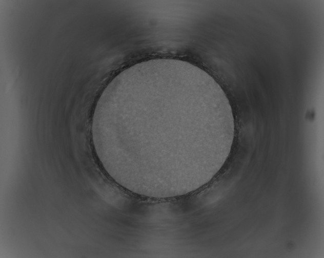 X0000093250769200710171425