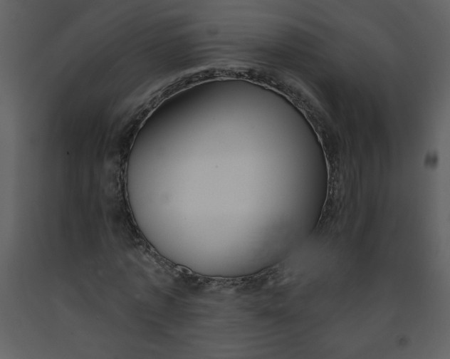 X0000093250773200710171425