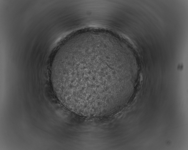 X0000093250776200710171424