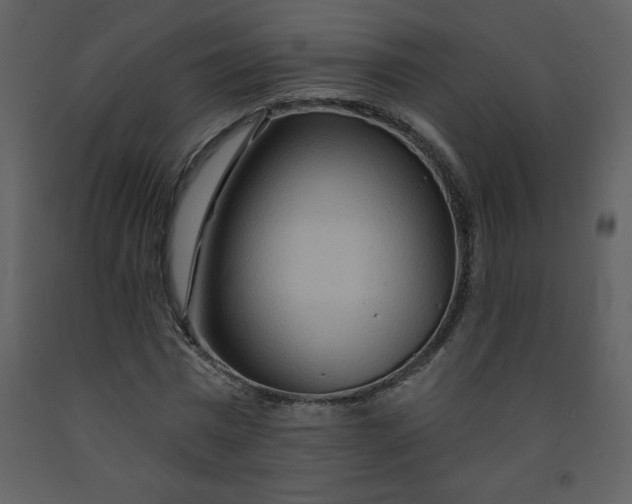 X0000093250777200710171424