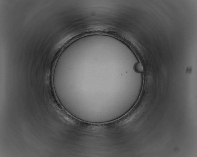 X0000093250778200710171424