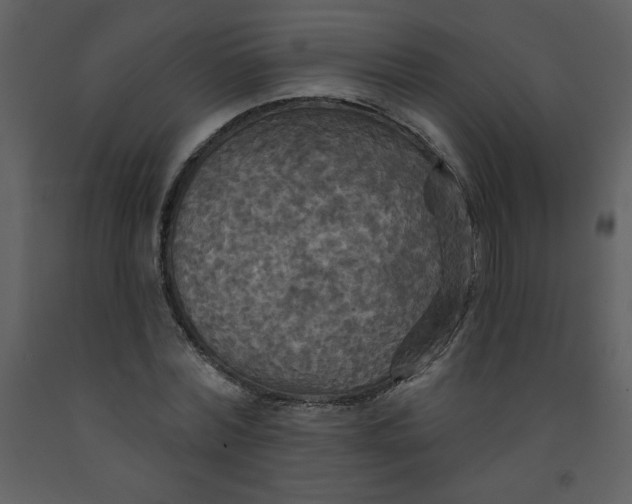 X0000093250780200710171424