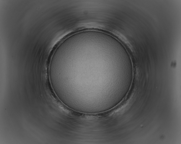 X0000093250782200710171424