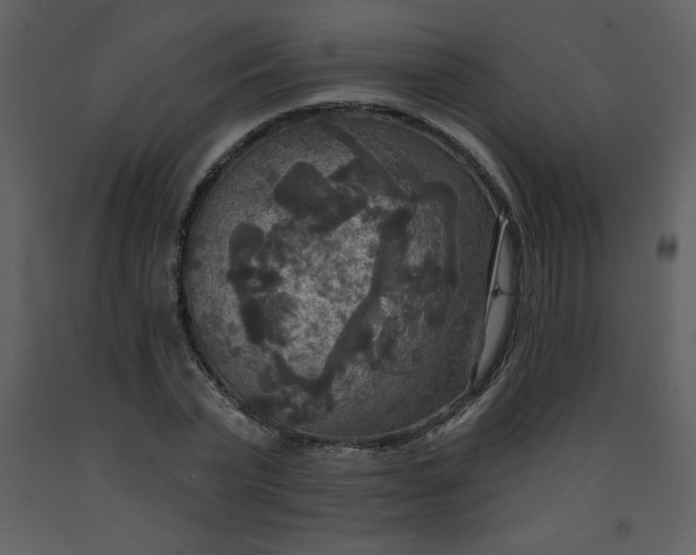 X0000093250783200710171424