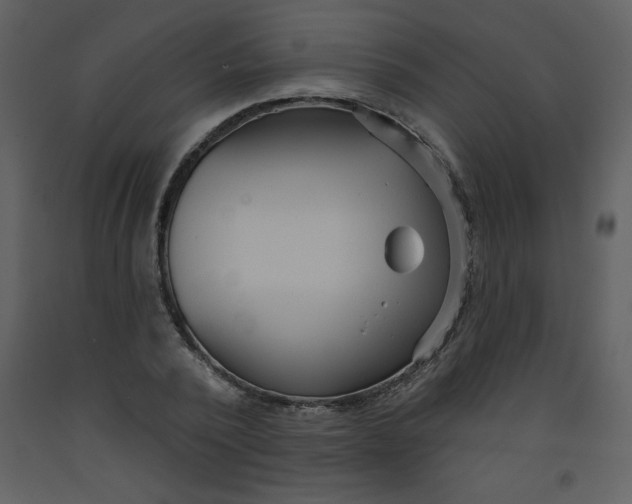 X0000093250784200710171424