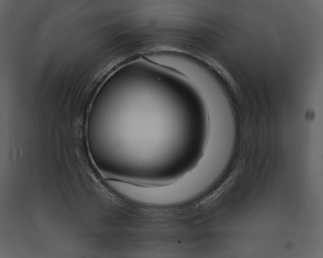 X0000093250785200710171424