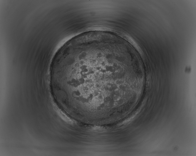 X0000093250787200710171424