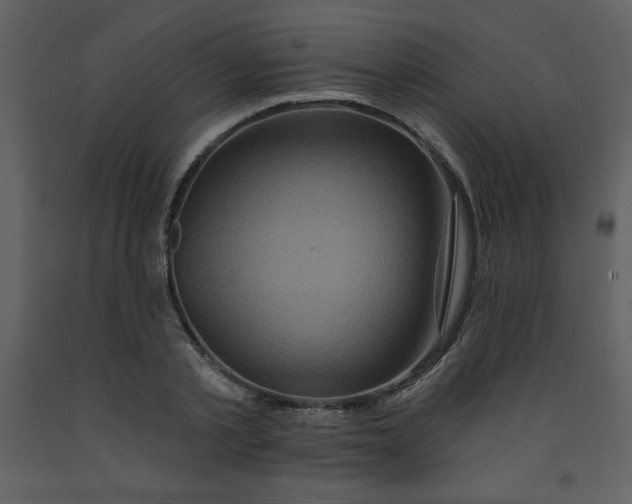 X0000093250789200710171424