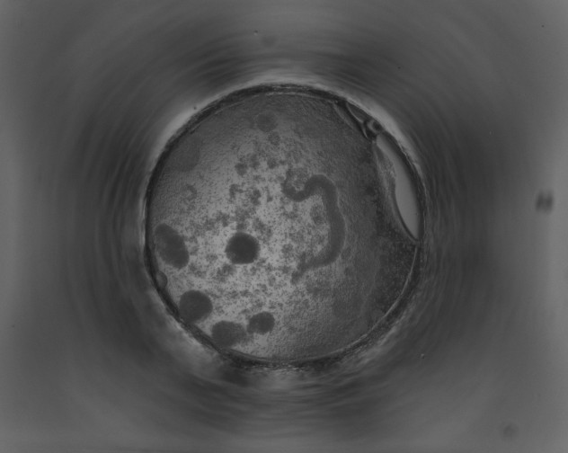 X0000093250791200710171424