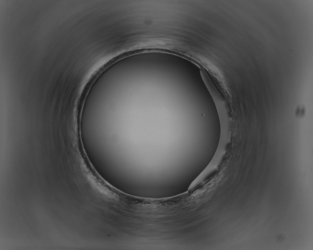 X0000093250792200710171424