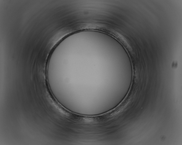 X0000093250794200710171424