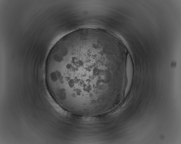 X0000093250795200710171424