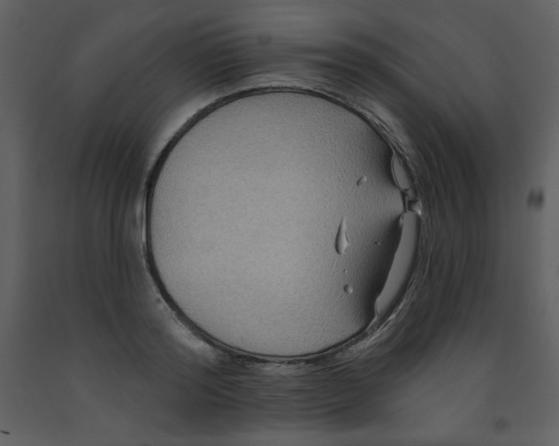 X0000093250796200710171424