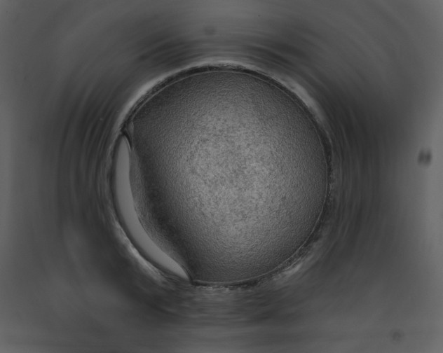 X0000093250799200710171424