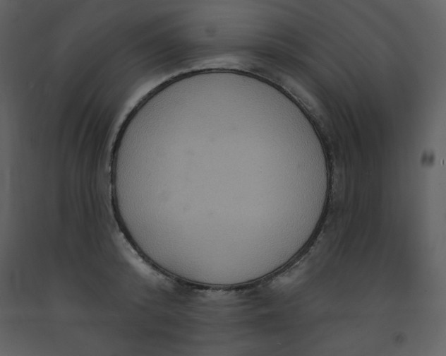 X0000093250800200710171424