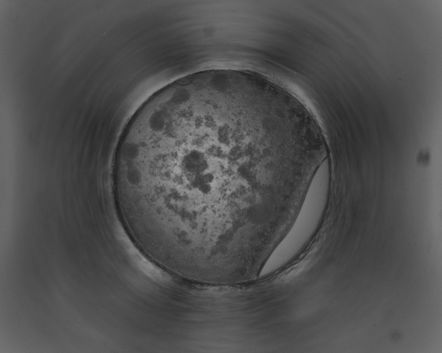 X0000093250803200710171424