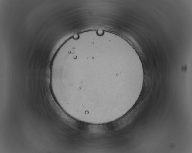 X0000093250804200710171424