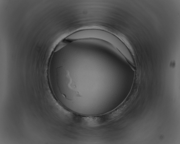 X0000093250805200710171424