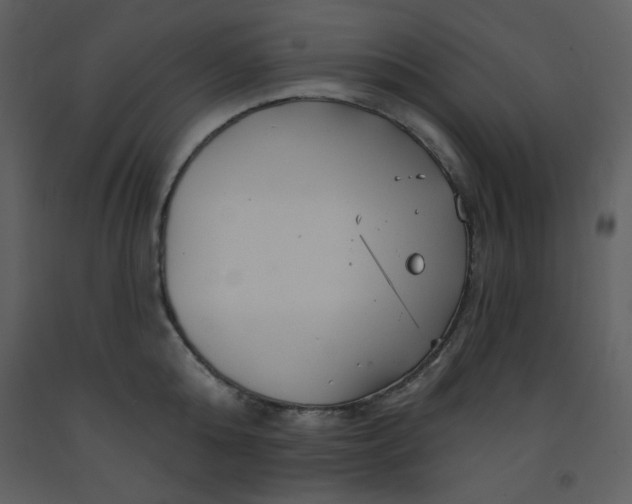 X0000093250808200710171424