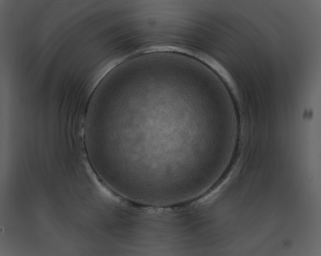 X0000093250809200710171424