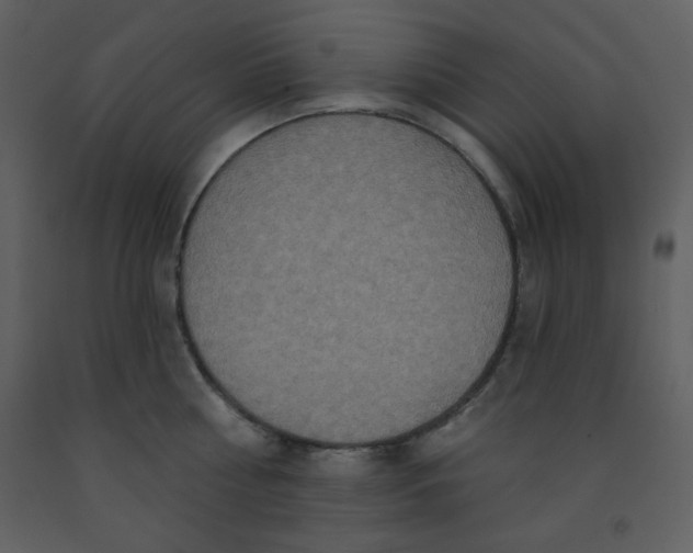 X0000093250810200710171424