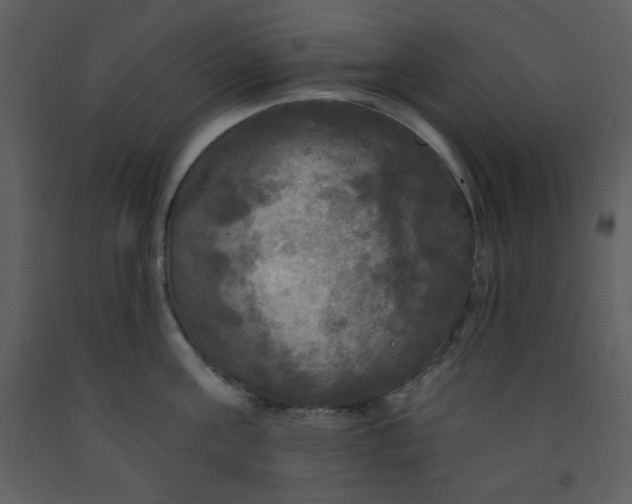 X0000093250811200710171424