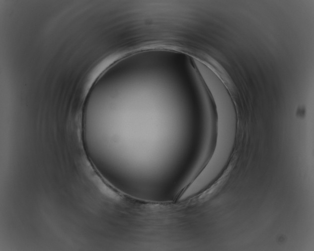 X0000093250812200710171424