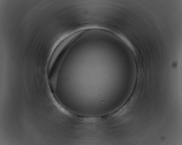 X0000093250813200710171424