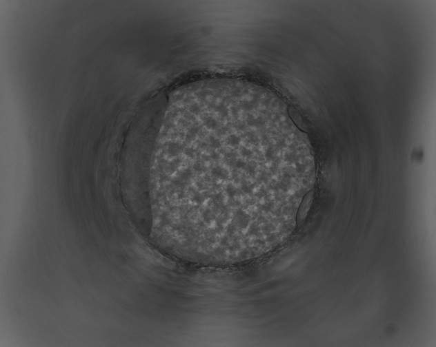 X0000093250817200710171423