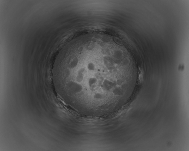 X0000093250819200710171423