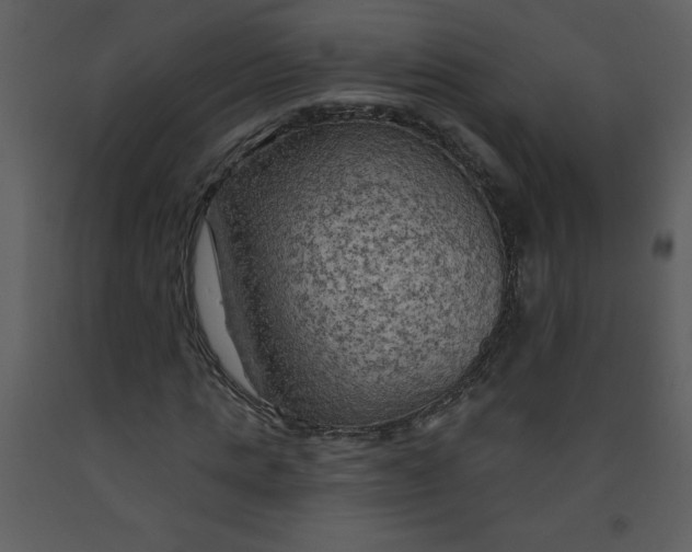 X0000093250821200710171423