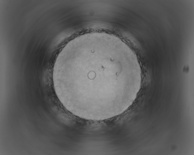 X0000093250824200710171423