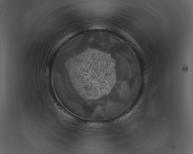 X0000093250825200710171423