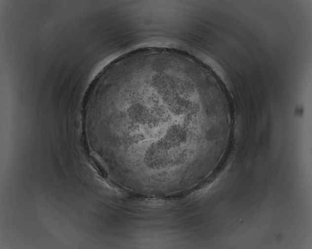 X0000093250829200710171423