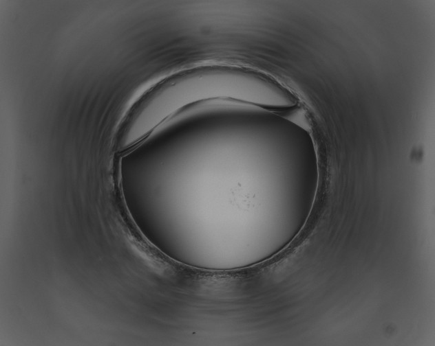 X0000093250830200710171423