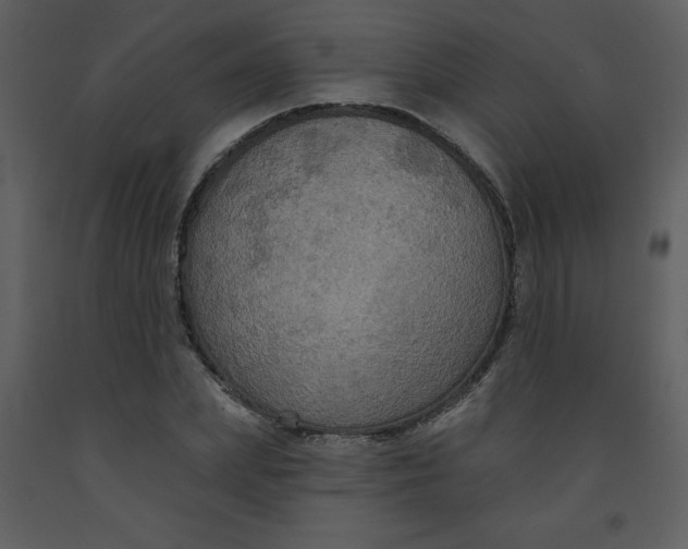 X0000093250831200710171423