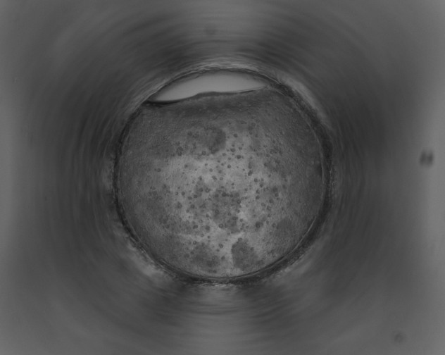 X0000093250833200710171423