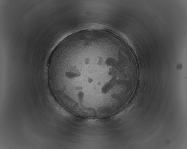 X0000093250835200710171424