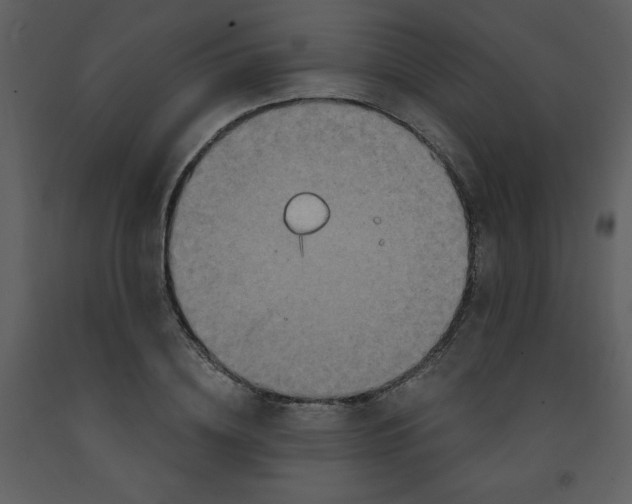 X0000093250836200710171424