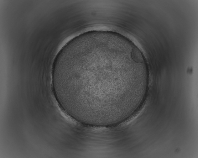 X0000093250837200710171424