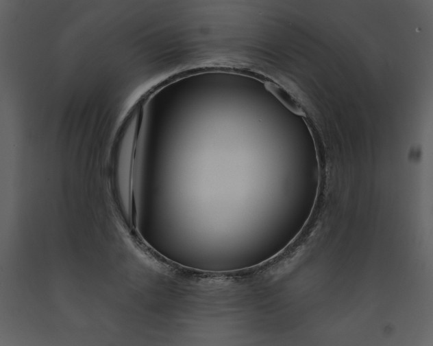 X0000093250838200710171424