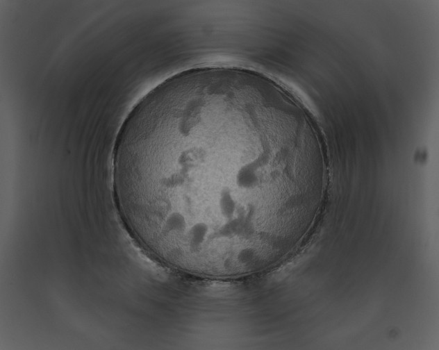 X0000093250839200710171424