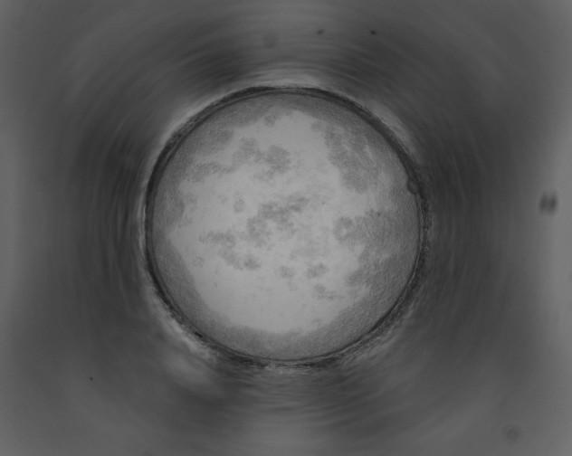 X0000093250840200710171424