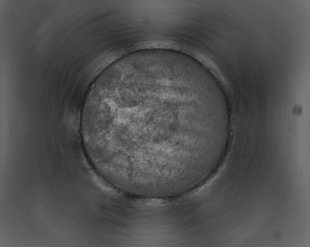 X0000093250841200710171424