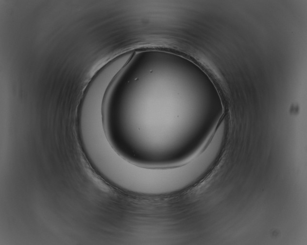 X0000093250842200710171424