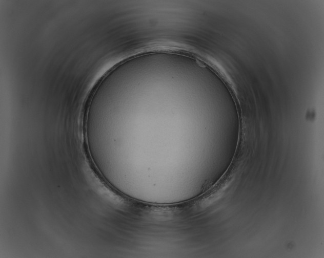 X0000093250843200710171424