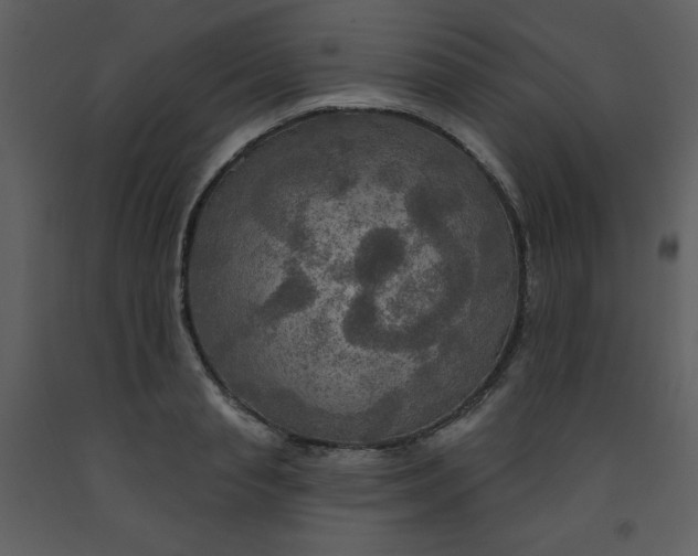 X0000093250845200710171424