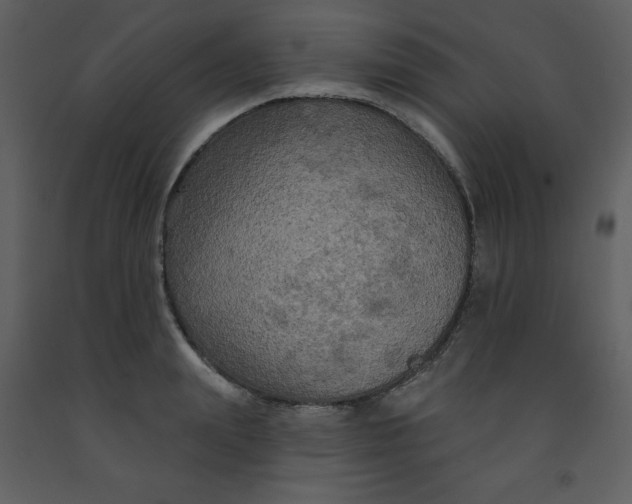 X0000093250847200710171424