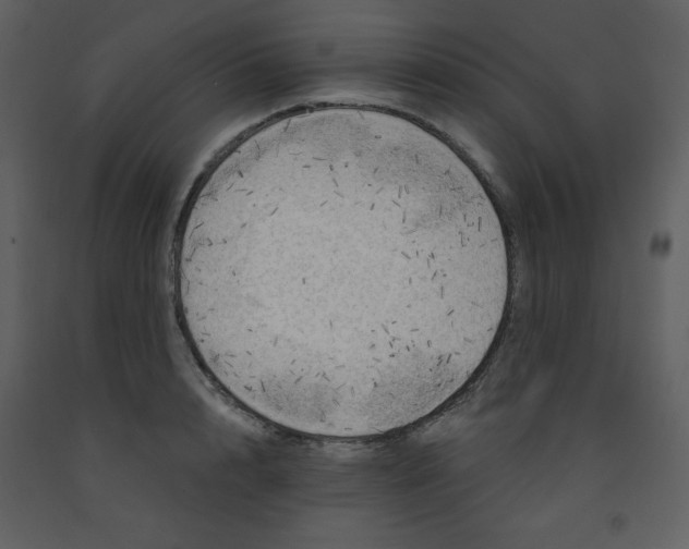 X0000093250848200710171424